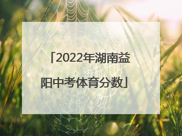 2022年湖南益阳中考体育分数