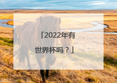 2022年有世界杯吗？