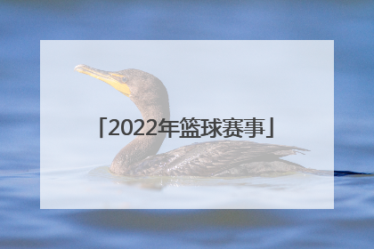 「2022年篮球赛事」2022年中国篮球赛事