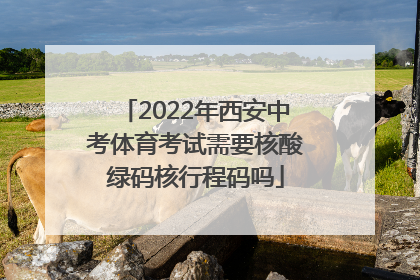 2022年西安中考体育考试需要核酸绿码核行程码吗