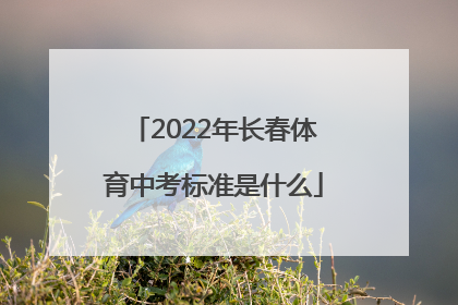 2022年长春体育中考标准是什么