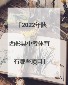 2022年陕西彬县中考体育有哪些项目