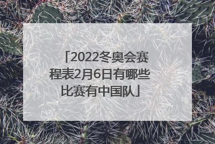 2022冬奥会赛程表2月6日有哪些比赛有中国队