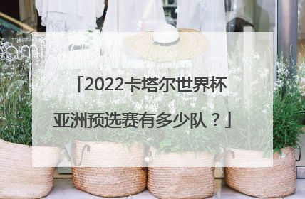 2022卡塔尔世界杯亚洲预选赛有多少队？