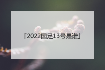 2022国足13号是谁