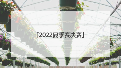 「2022夏季赛决赛」2022夏季赛决赛直播