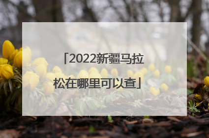 2022新疆马拉松在哪里可以查