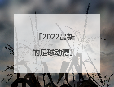 「2022最新的足球动漫」2022最新足球规则