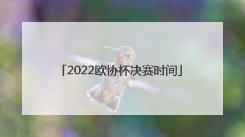 2022欧协杯决赛时间