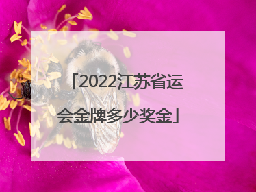 2022江苏省运会金牌多少奖金