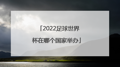 「2022足球世界杯在哪个国家举办」中国进世界杯