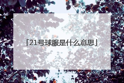 21号球服是什么意思