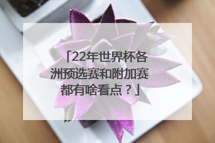 22年世界杯各洲预选赛和附加赛都有啥看点？