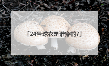 24号球衣是谁穿的?