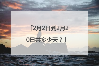 2月2日到2月20日共多少天？