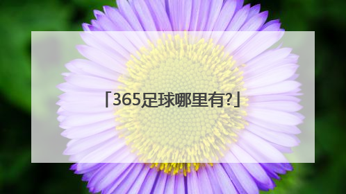 365足球哪里有?