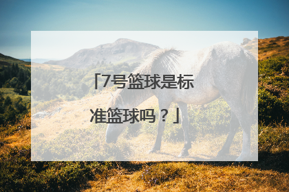 7号篮球是标准篮球吗？