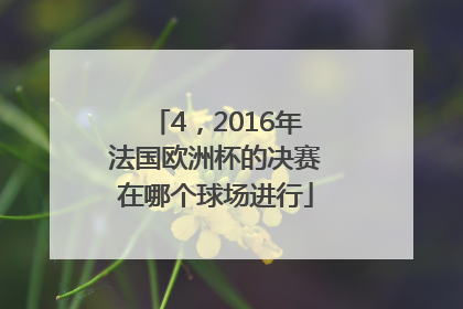 4，2016年法国欧洲杯的决赛在哪个球场进行