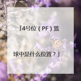 4号位（PF）篮球中是什么位置？