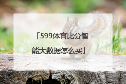 599体育比分智能大数据怎么买