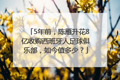 5年前，陈雁升花8亿收购西班牙人足球俱乐部，如今值多少？