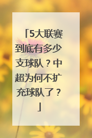 5大联赛到底有多少支球队？中超为何不扩充球队了？