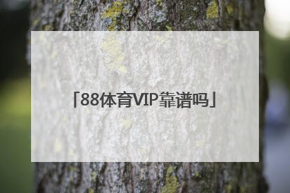 88体育VIP靠谱吗