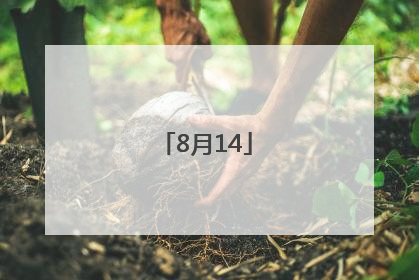 「8月14」8月14日