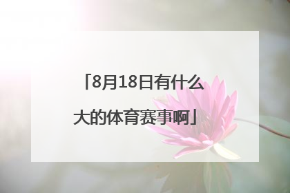 8月18日有什么大的体育赛事啊