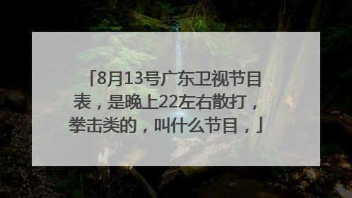 8月13号广东卫视节目表，是晚上22左右散打，拳击类的，叫什么节目，