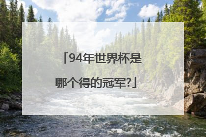 94年世界杯是哪个得的冠军?