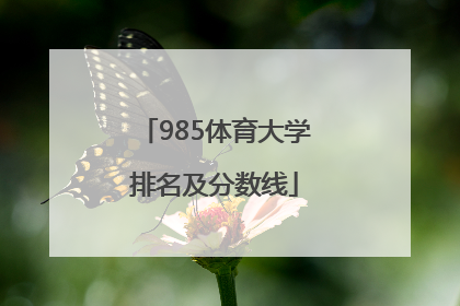 985体育大学排名及分数线