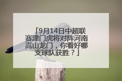 9月14日中超联赛津门虎将对阵河南嵩山龙门，你看好哪支球队获胜？