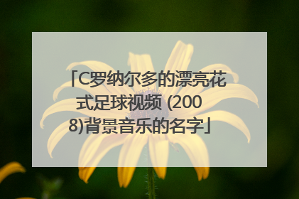 C罗纳尔多的漂亮花式足球视频 (2008)背景音乐的名字