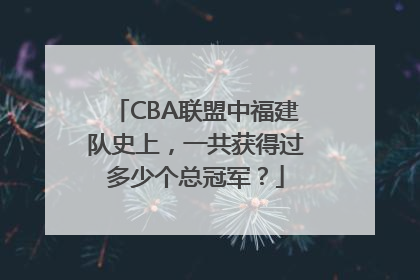 CBA联盟中福建队史上，一共获得过多少个总冠军？