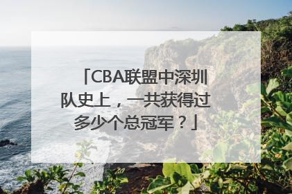 CBA联盟中深圳队史上，一共获得过多少个总冠军？