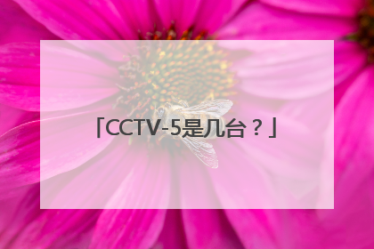 CCTV-5是几台？