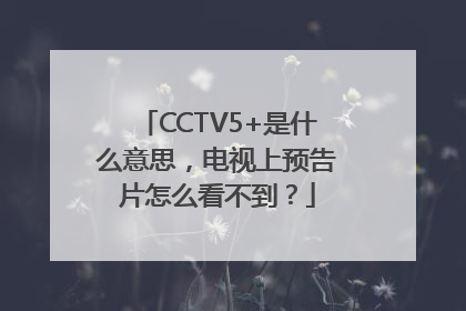 CCTV5+是什么意思，电视上预告片怎么看不到？