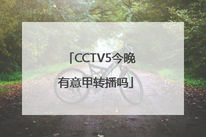 CCTV5今晚有意甲转播吗