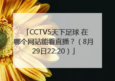 CCTV5天下足球 在哪个网站能看直播？（8月29日22:20）