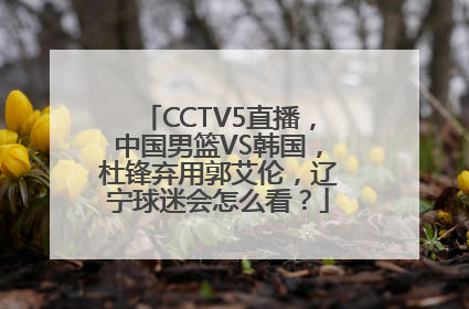 CCTV5直播，中国男篮VS韩国，杜锋弃用郭艾伦，辽宁球迷会怎么看？