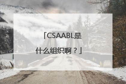 CSAABL是什么组织啊？