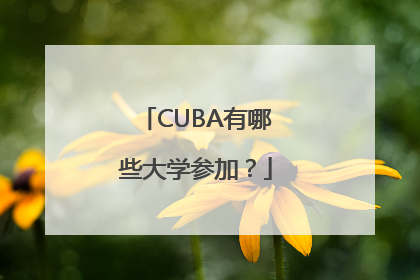 CUBA有哪些大学参加？