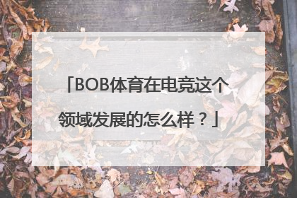 BOB体育在电竞这个领域发展的怎么样？