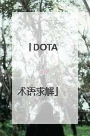 DOTA术语求解