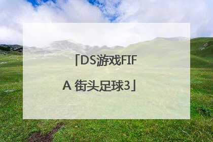 DS游戏FIFA 街头足球3