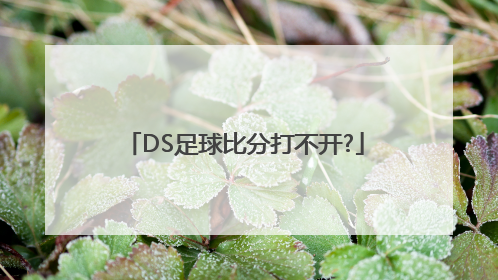 DS足球比分打不开?