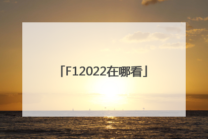 F12022在哪看