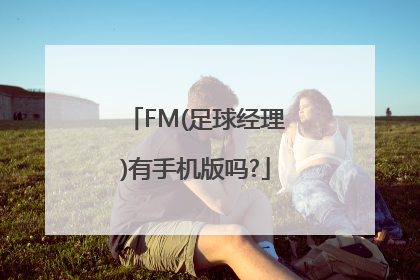 FM(足球经理)有手机版吗?