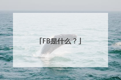 FB是什么？